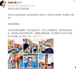 哈利作业最新爆料网站,揭秘神秘网站背后的秘密